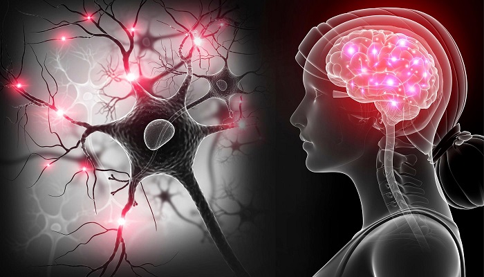 Nguồn gốc bệnh Alzheimer là gì? Nguyên nhân và cách phòng ngừa hiệu quả