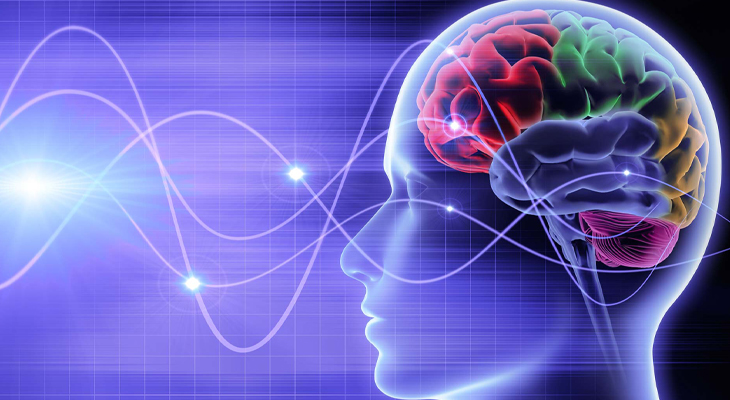 Liệu pháp âm thanh điều trị Alzheimer: Hy vọng mới từ sóng âm 40 Hz không xâm lấn