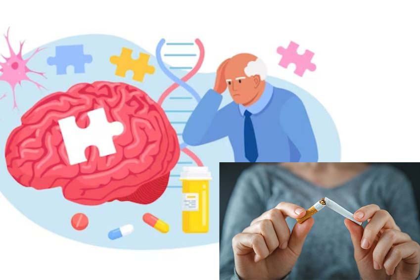 Tác Động Của Thuốc Lá Đến Nguy Cơ Mắc Alzheimer Ở Người Trưởng Thành