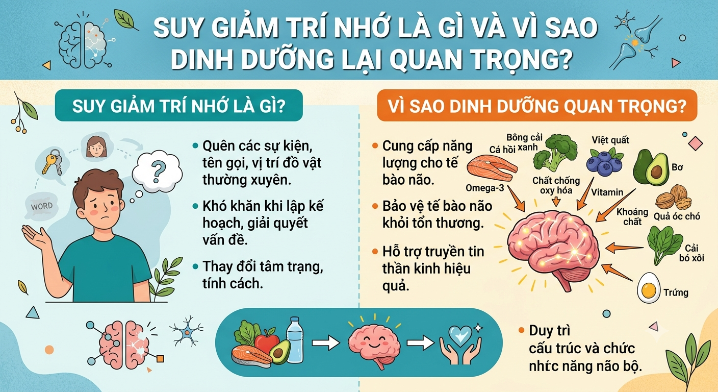 thực phẩm chống suy giảm trí nhớ
